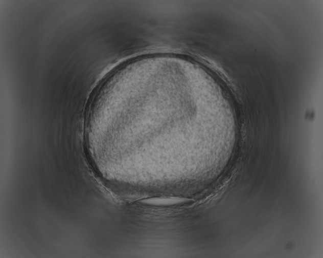 X0000095511220200801041152