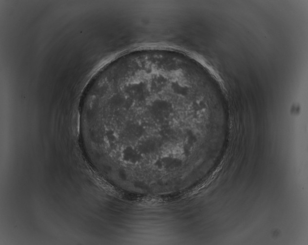 X0000095511221200801041152