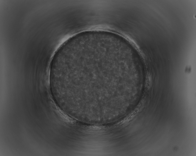 X0000095511224200801041152