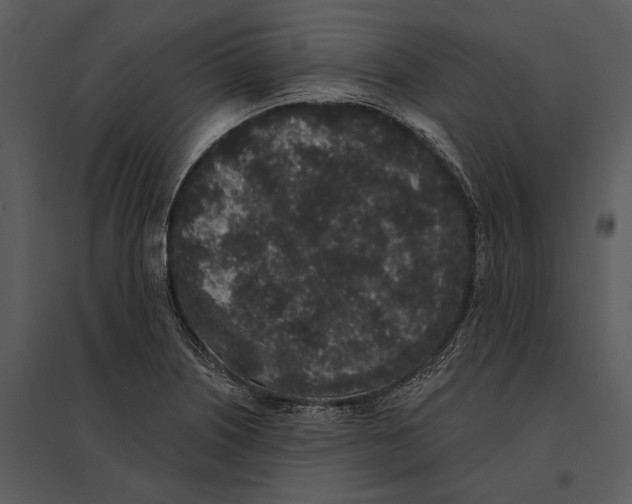 X0000095511226200801041152
