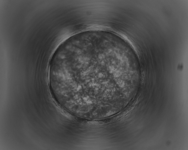 X0000095511227200801041152