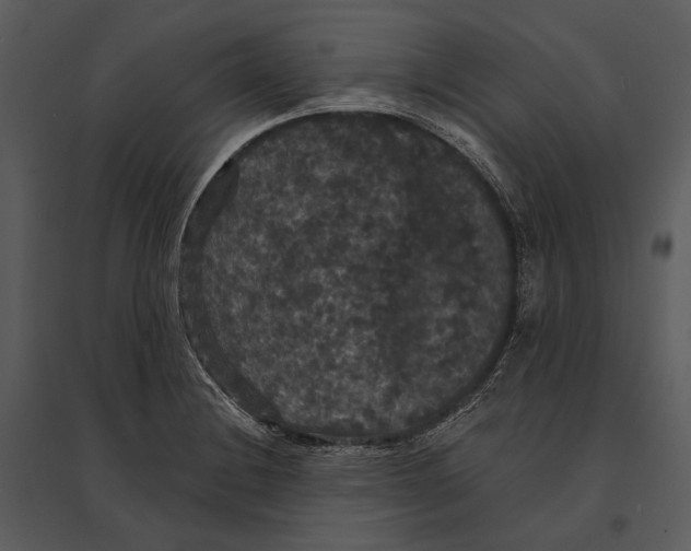 X0000095511228200801041152