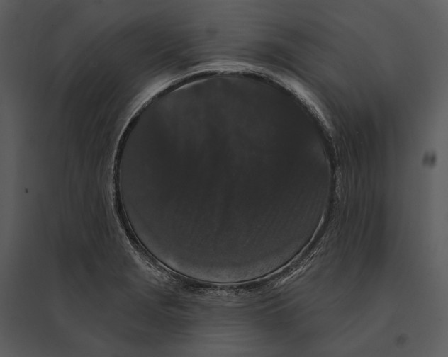 X0000095511229200801041152