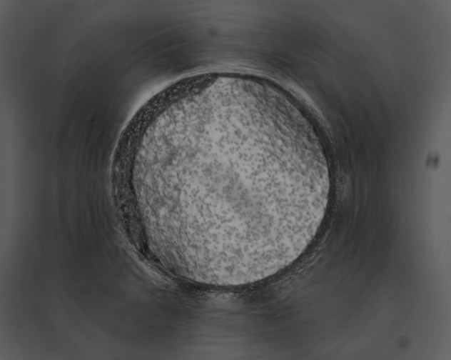 X0000095511230200801041152