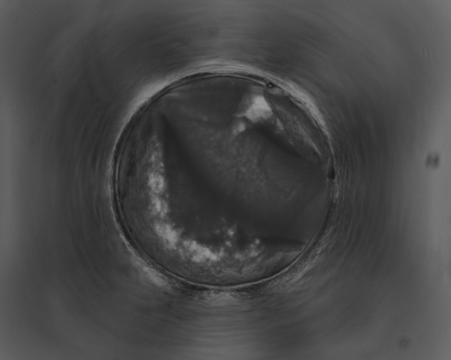 X0000095511231200801041152