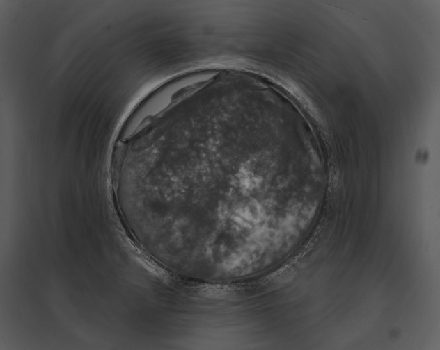 X0000095511232200801041152