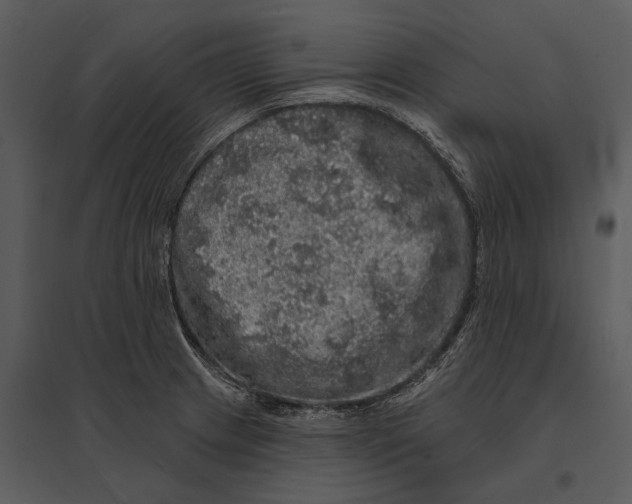 X0000095511233200801041152