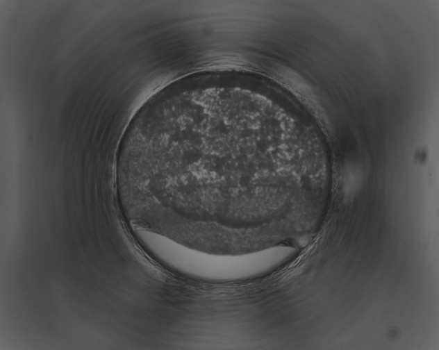 X0000095511234200801041152