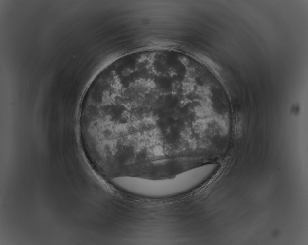 X0000095511235200801041152