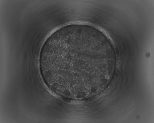 X0000095511237200801041152
