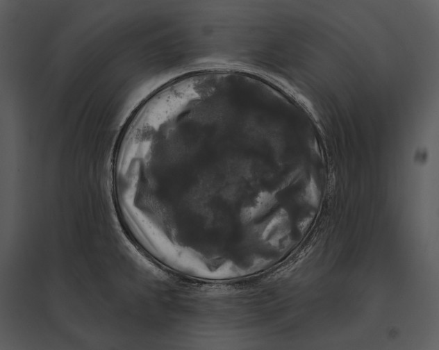 X0000095511239200801041152