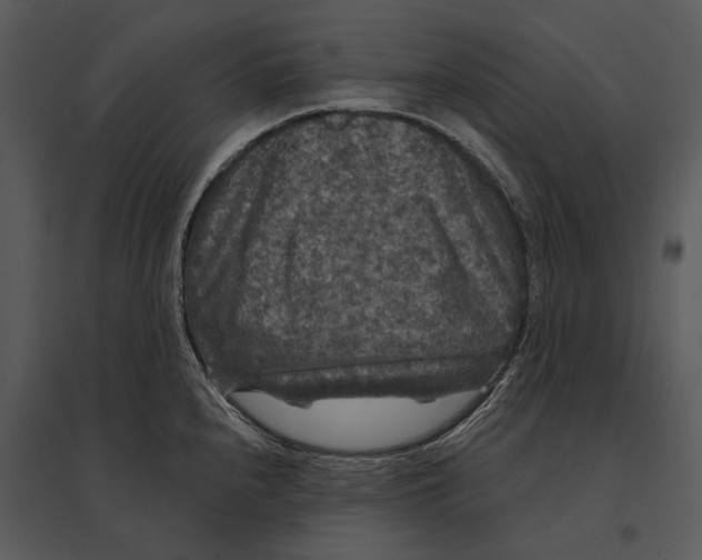 X0000095511240200801041152