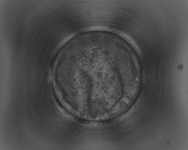 X0000095511241200801041152