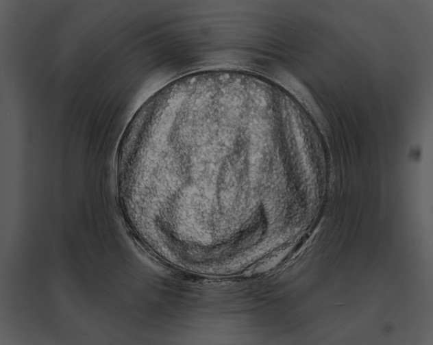 X0000095511242200801041152