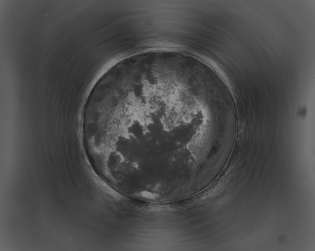 X0000095511243200801041152