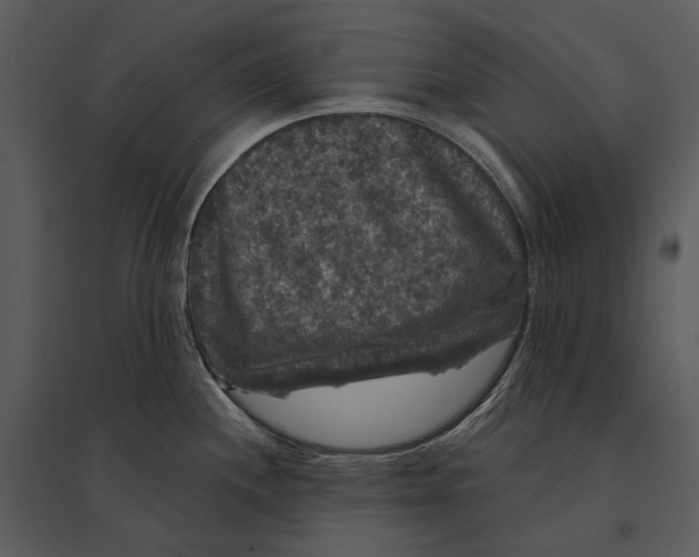 X0000095511244200801041153