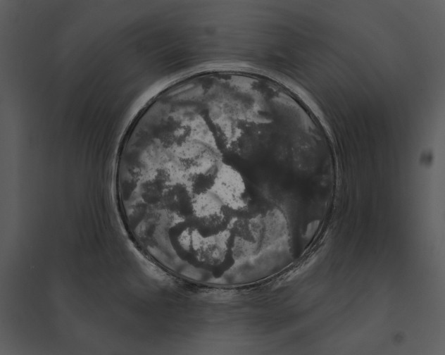 X0000095511245200801041153