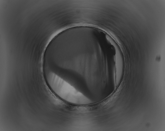 X0000095511246200801041153