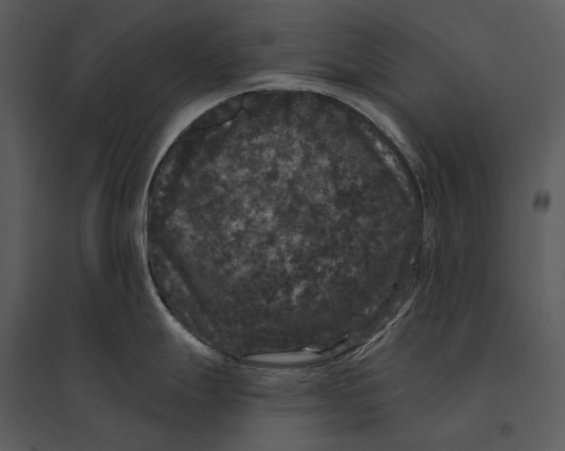 X0000095511247200801041153