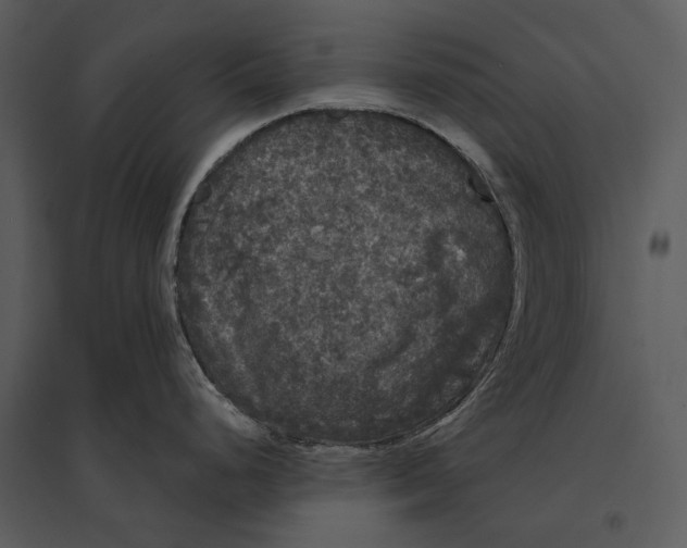 X0000095511248200801041153