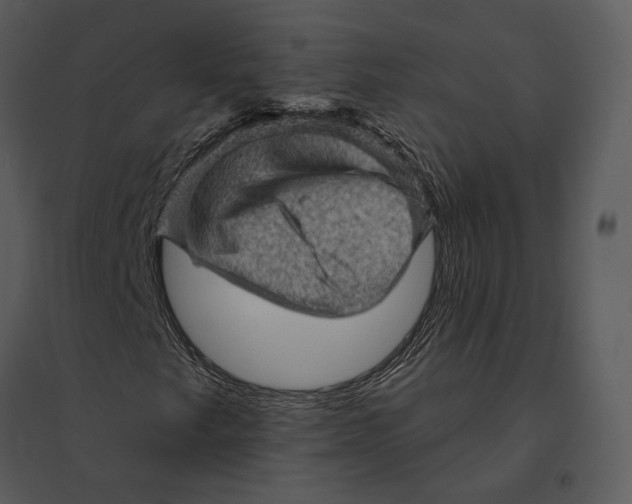 X0000095511249200801041152