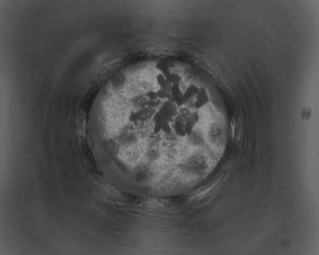 X0000095511251200801041152