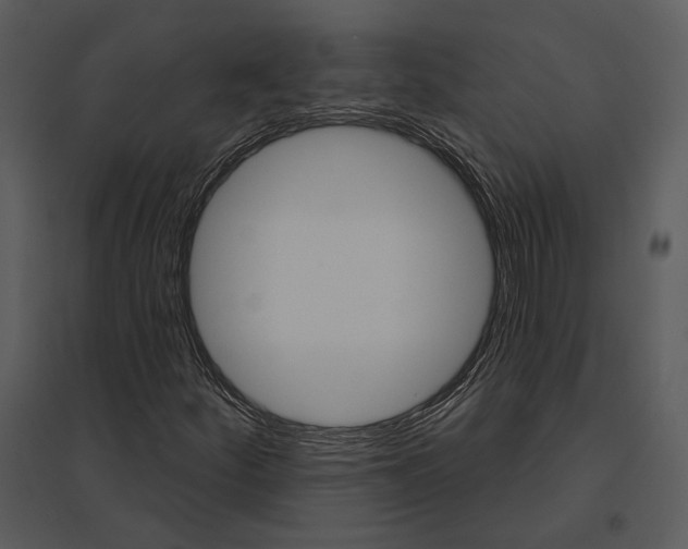 X0000095511252200801041152