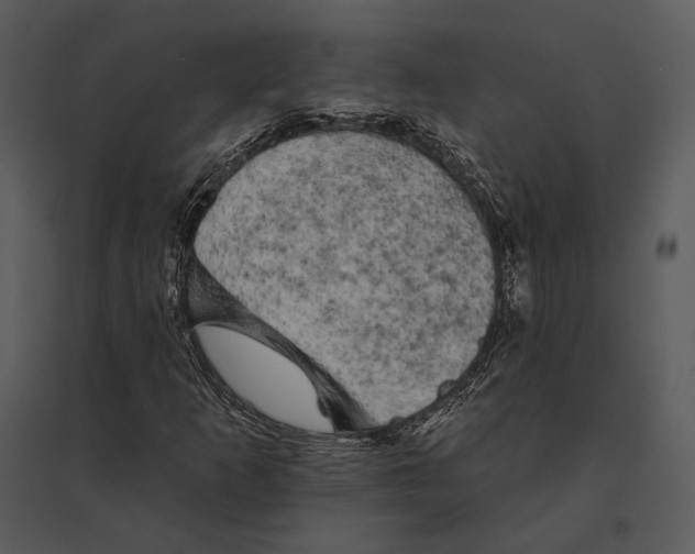 X0000095511253200801041152