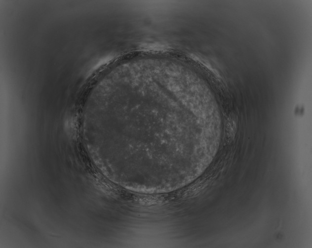 X0000095511254200801041152