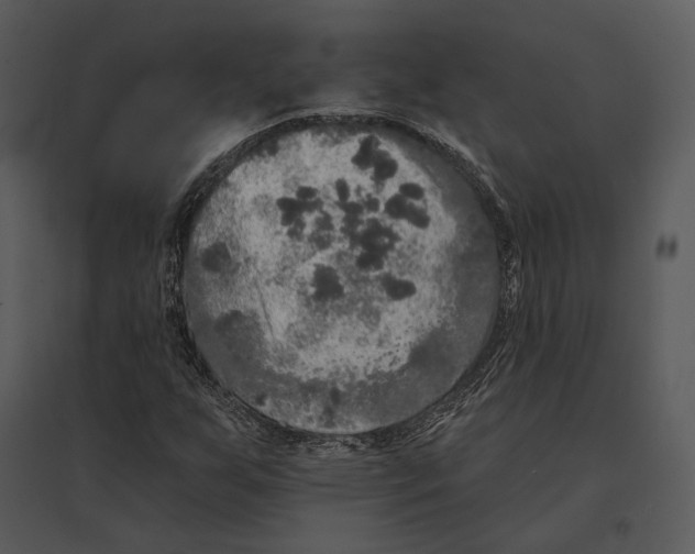 X0000095511255200801041152