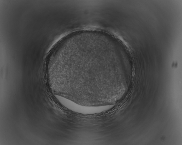 X0000095511256200801041152