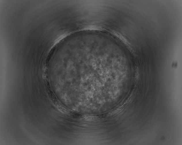 X0000095511258200801041152