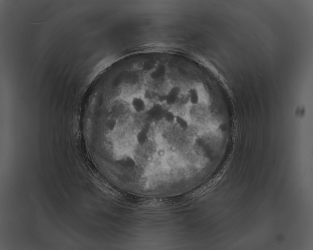 X0000095511259200801041152