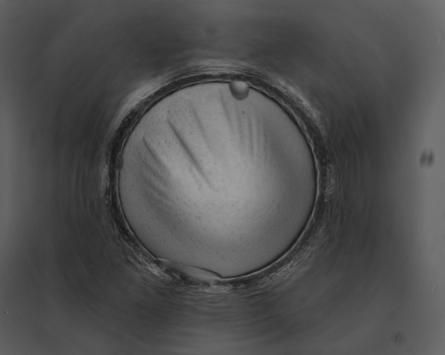 X0000095511261200801041152