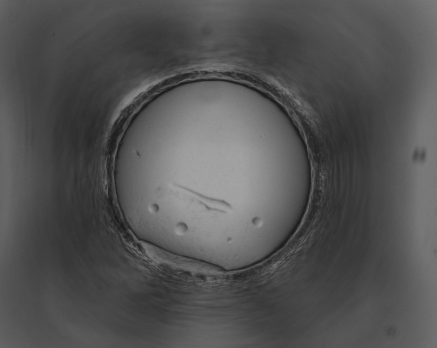 X0000095511262200801041152