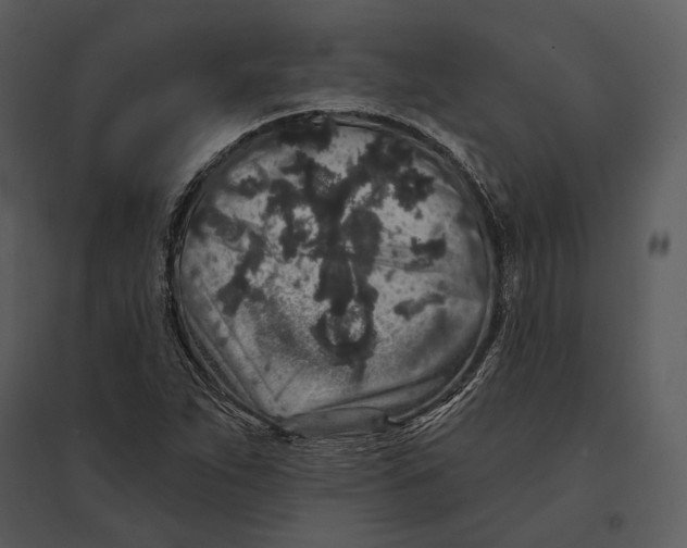 X0000095511263200801041152