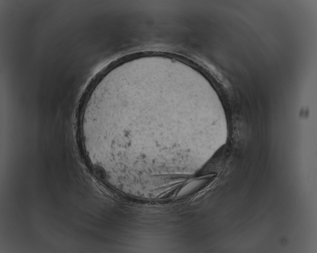 X0000095511264200801041152