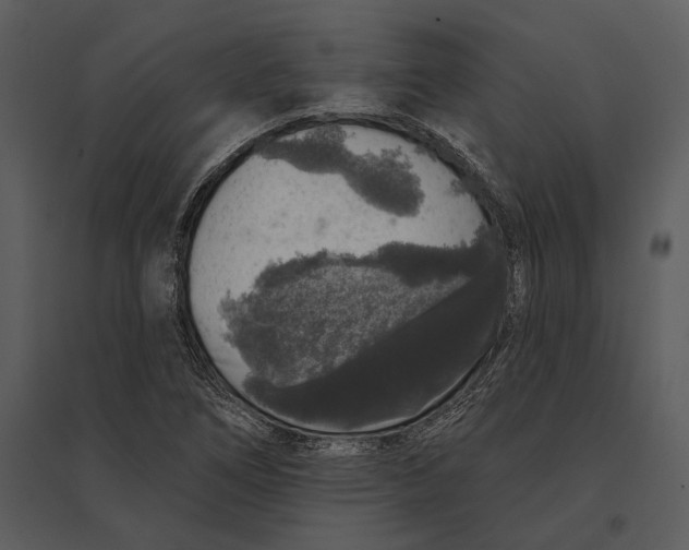 X0000095511266200801041152