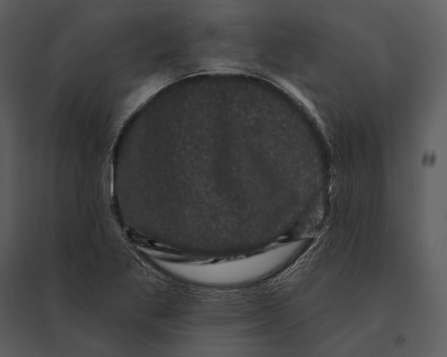 X0000095511269200801041152