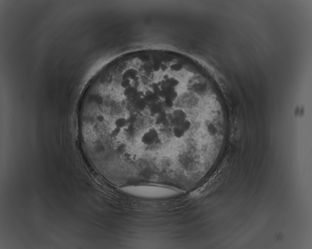 X0000095511271200801041152