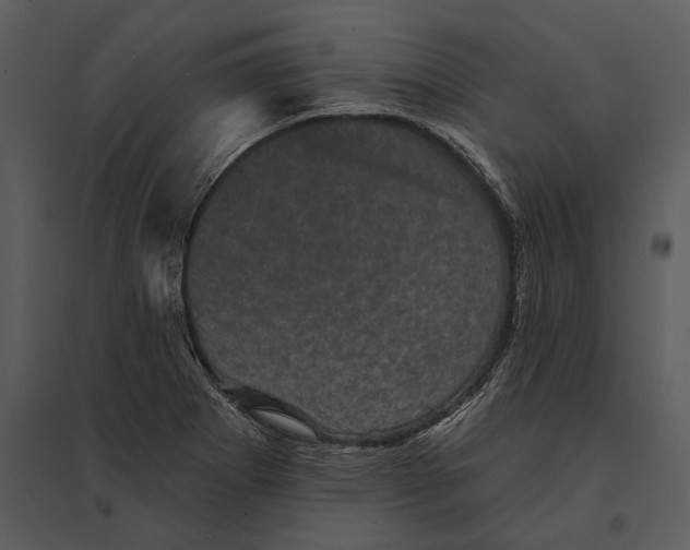 X0000095511273200801041151