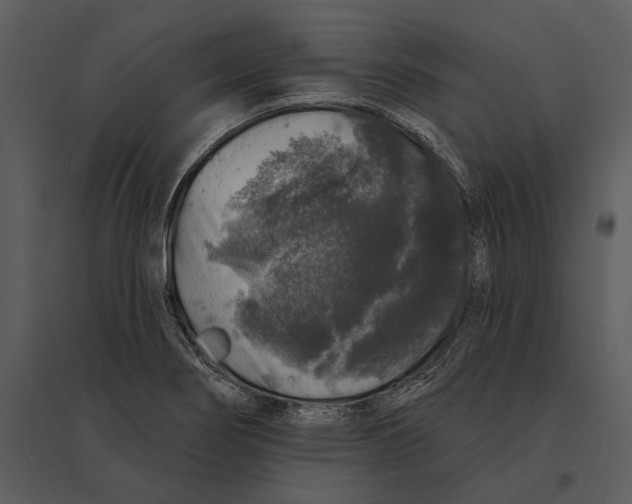 X0000095511274200801041151