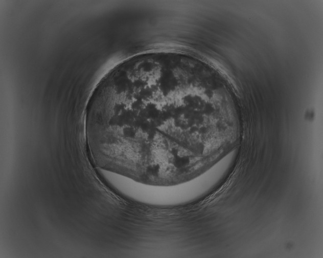 X0000095511275200801041151