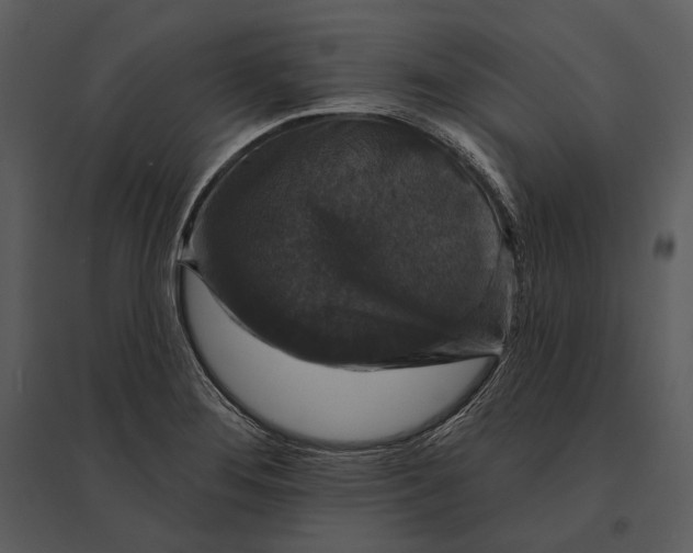 X0000095511276200801041151