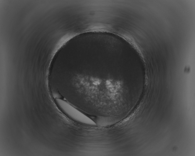 X0000095511277200801041151