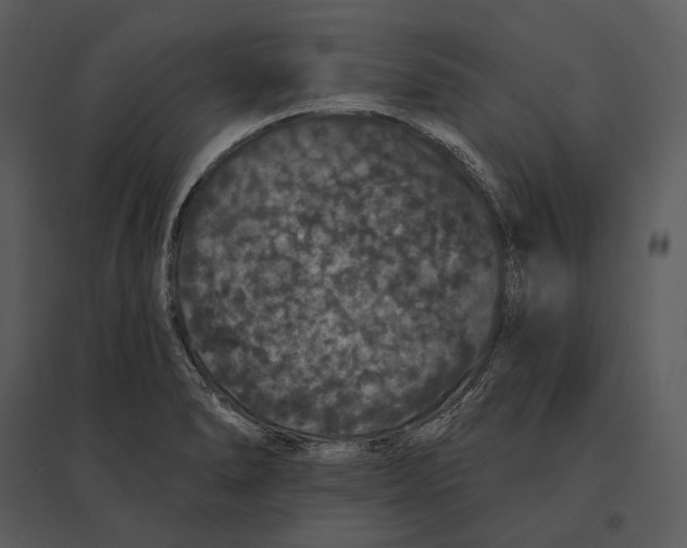 X0000095511278200801041151