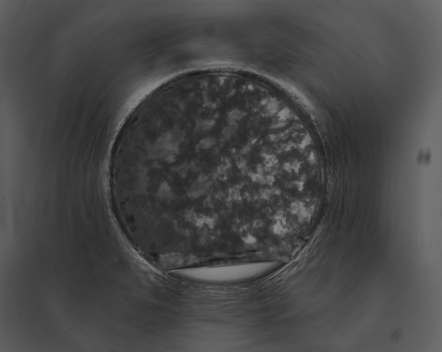 X0000095511279200801041151