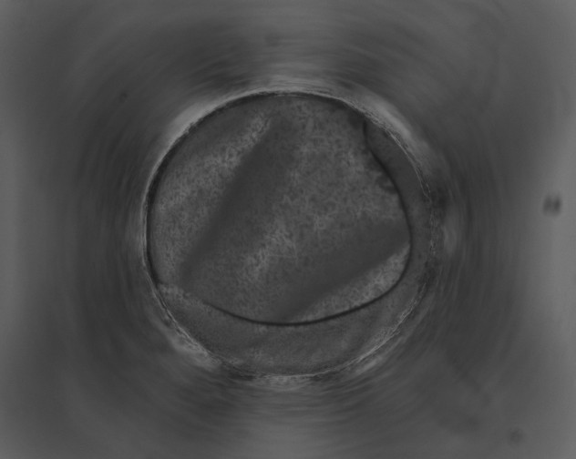X0000095511280200801041151