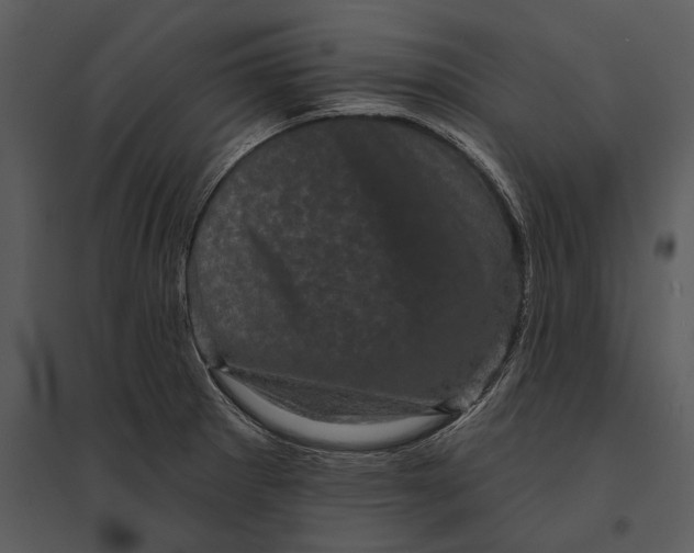 X0000095511281200801041151