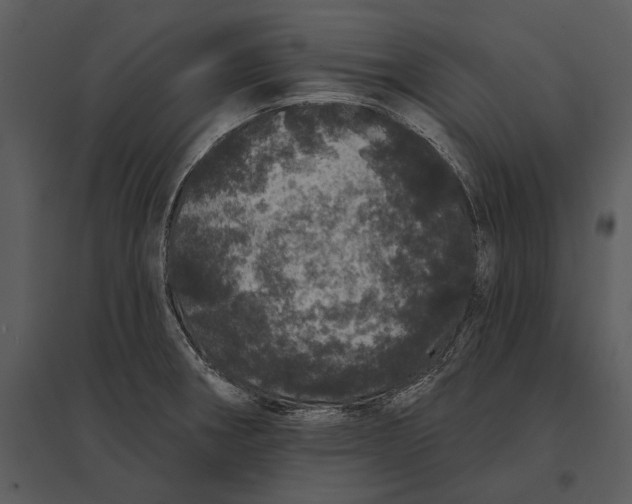 X0000095511282200801041151